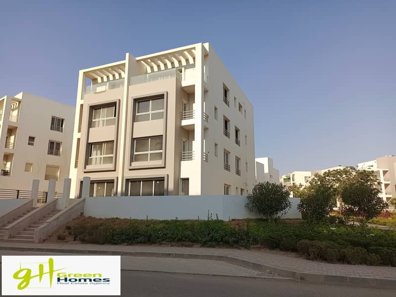 9 IMG_20230815_171413. jpg