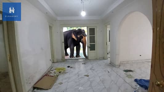 Office for Rent in Dokki, Giza - WhatsApp Image 2025-11-16 at 4.21. 01 PM. jpeg