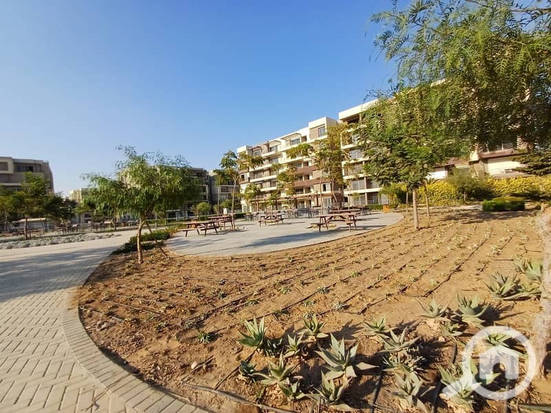 11 WhatsApp Image 2024-10-12 at 04.44. 27_fdcbdc7e. jpg