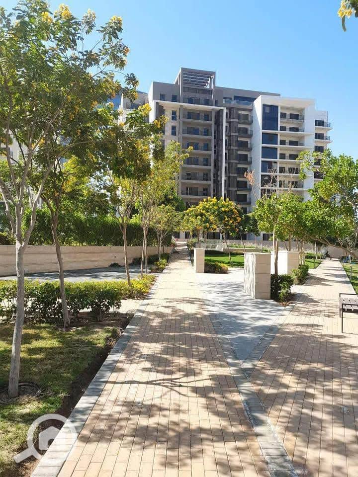 6 536061298_1418826046080279_6250830007288577550_n. jpg