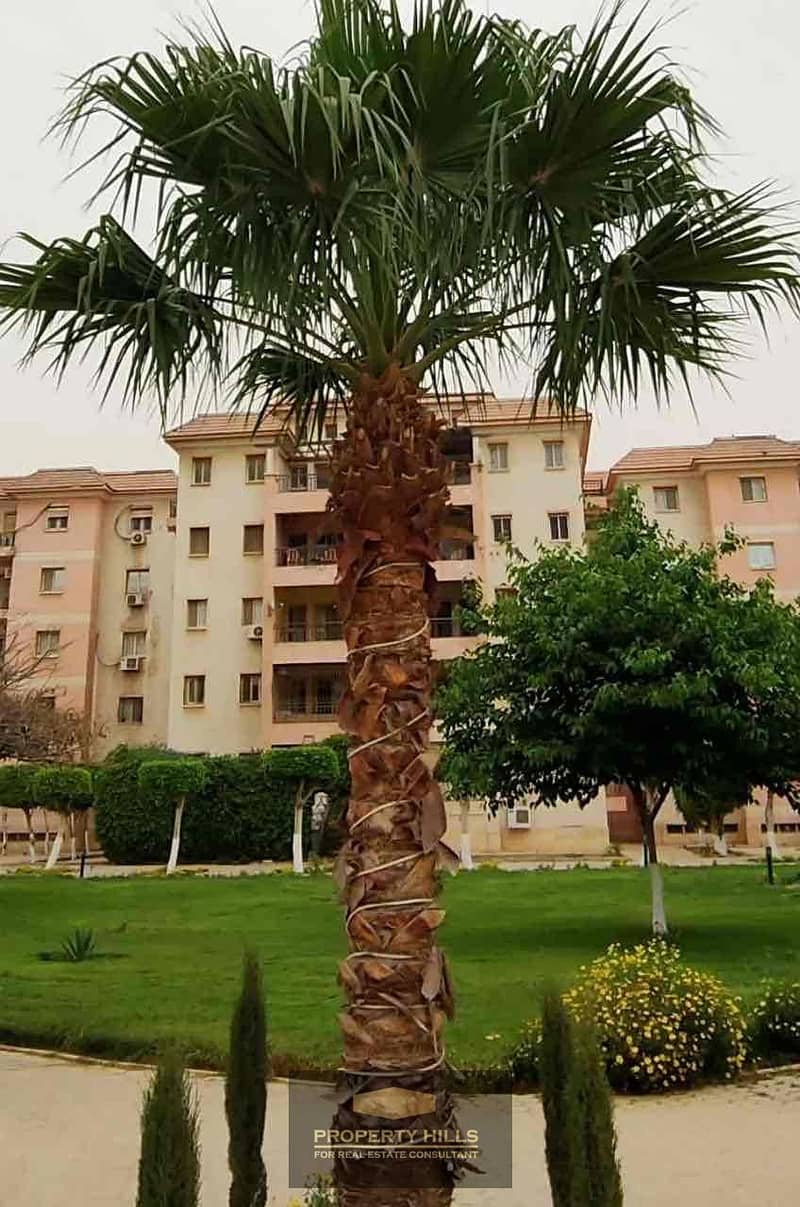 10 d5f6bde8-61ae-48b6-a7e0-852ad308376b. jpg