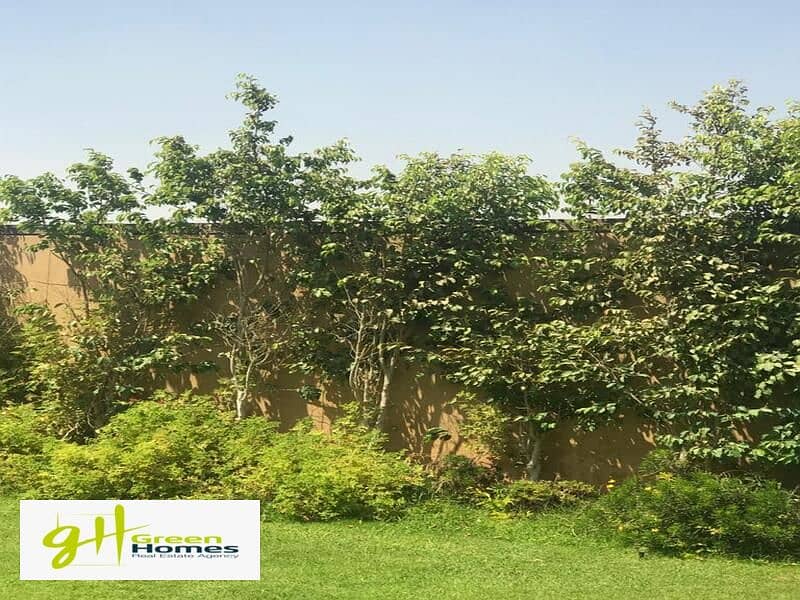 15 WhatsApp Image 2021-03-02 at 12.06. 07 AM (1). jpeg