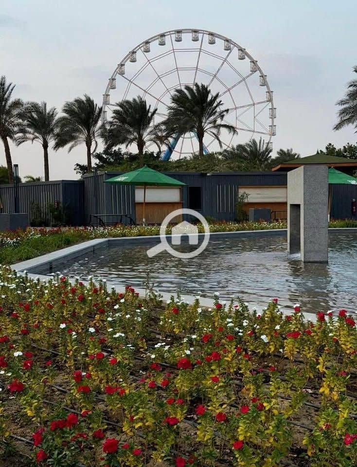 6 545509586_4033221186898466_8612819644281338244_n. jpg