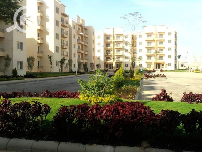 8 471611291_1015523003952004_939286164122363754_n. jpg