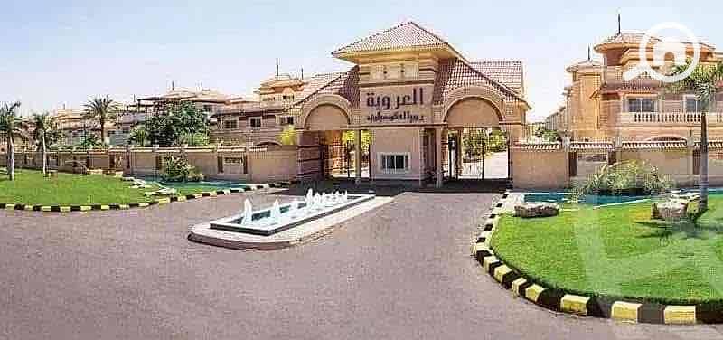 IMG_7445. jpg IMG_7445. jpg