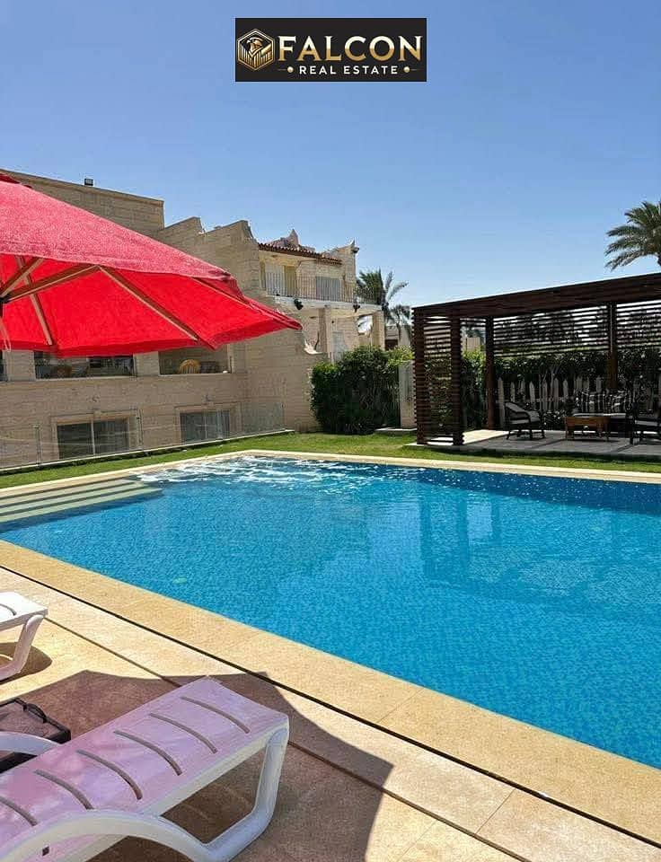 11 515489041_1257822489164907_5653017851784059056_n. jpg