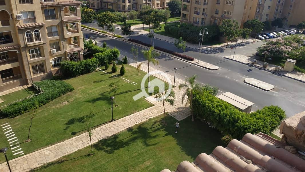 6 50a9403b-ef2b-4dcb-81cc-a3abb7a47321. jpg