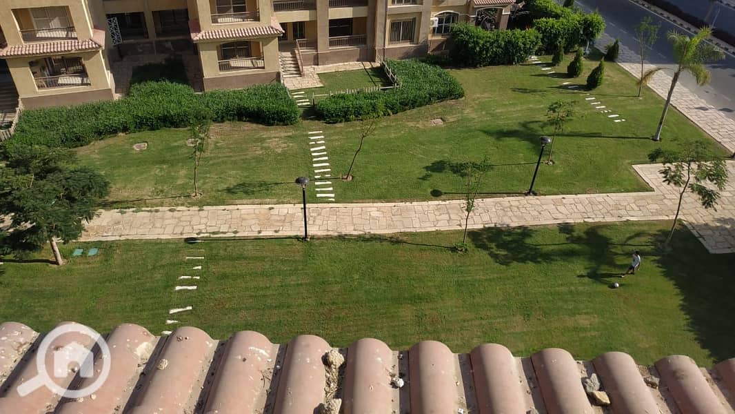 8 773fed76-68dd-4d60-8251-1db2a1609c44. jpg