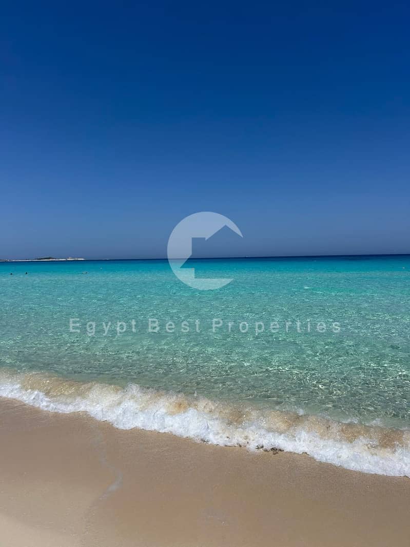 3 WhatsApp Image 2025-08-14 at 17.06. 26_def4c864. jpg