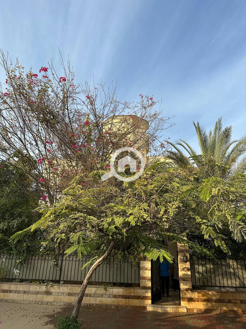 11 IMG-20250203-WA0197. jpg