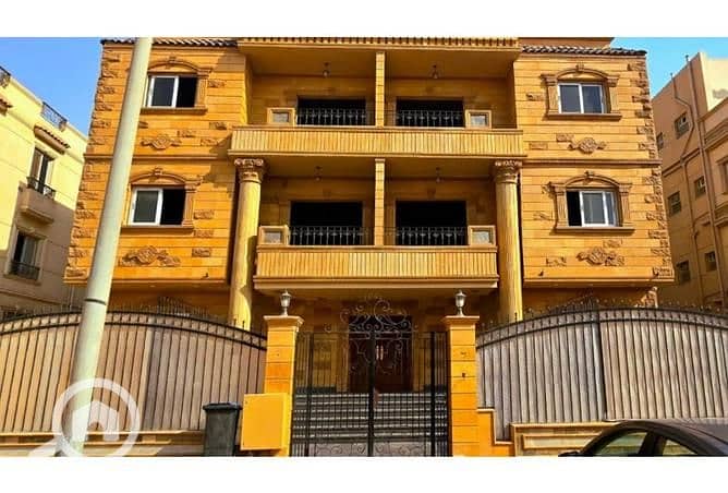 7 7737621-bee50o. jpg