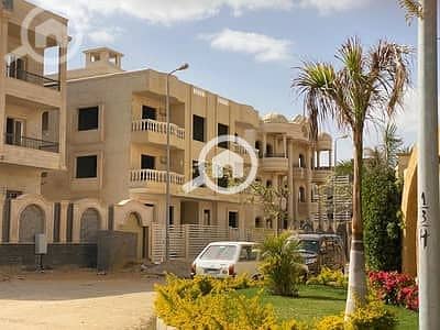 14 14775116-400x300. jpeg