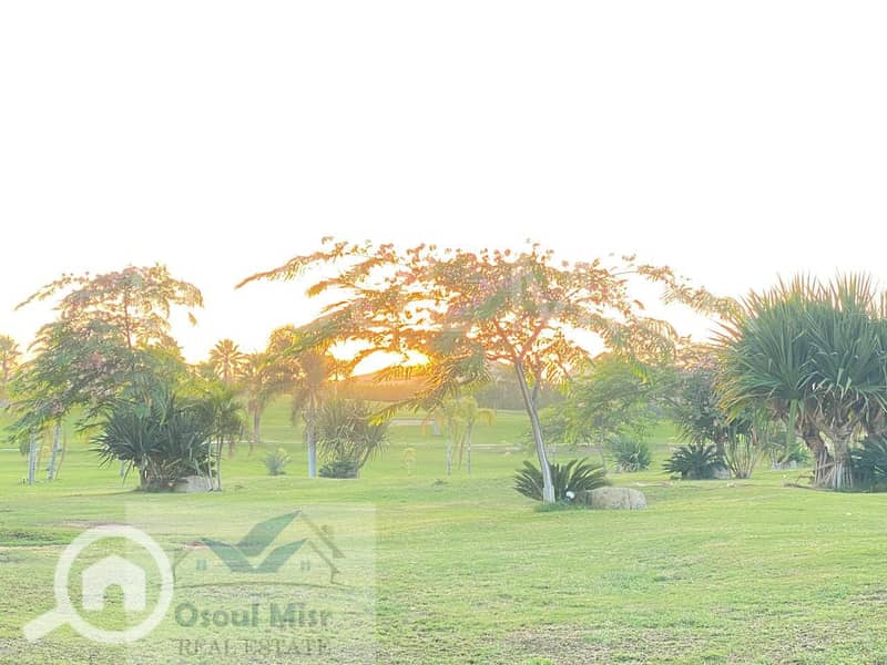 18 IMG-20251116-WA0146. jpg