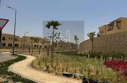 3 8170625-6a247o. jpg