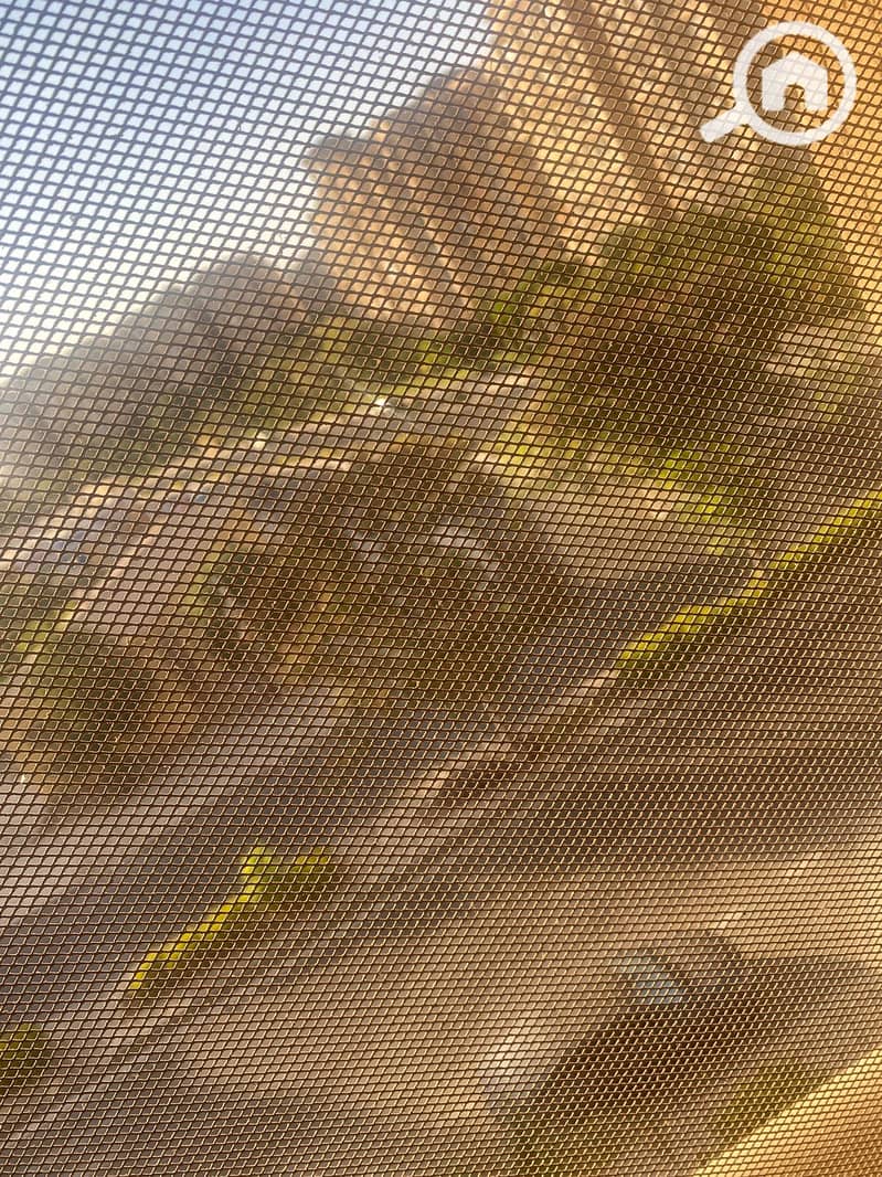 11 WhatsApp Image 2025-11-16 at 3.49. 45 PM (1). jpeg