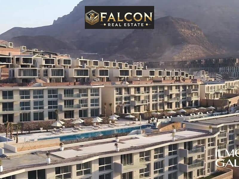 9 WhatsApp Image 2024-10-13 at 2.58. 11 PM. jpeg