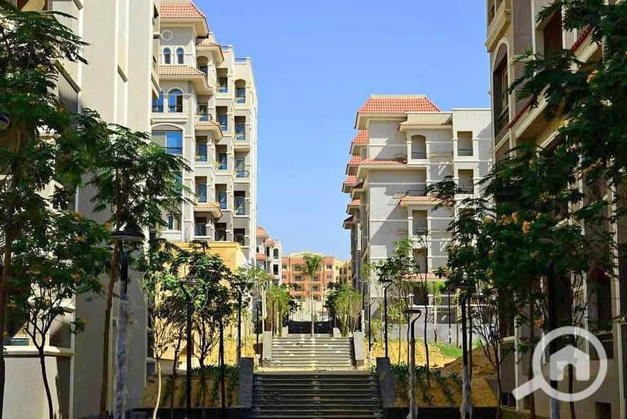 10 WhatsApp Image 2025-09-09 at 15.24. 43_a41e9eea. jpg