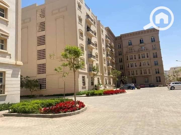 4 467636504_122145714212334437_1592459049573054894_n. jpg