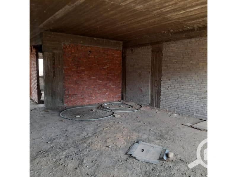 2 WhatsApp Image 2024-01-27 at 14.17. 48_85502217. jpg