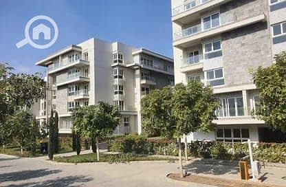 4 556062675_122133069848928156_8790018502222194781_n. jpg