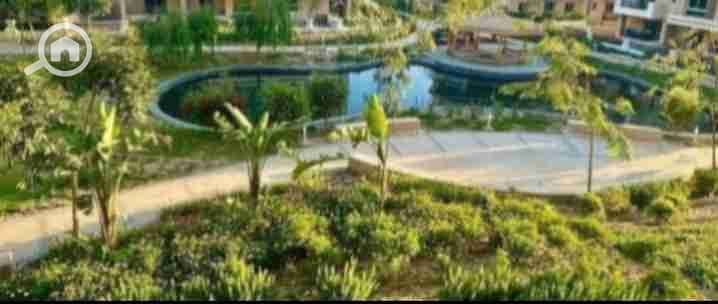 12 IMG-20251116-WA0006. jpg