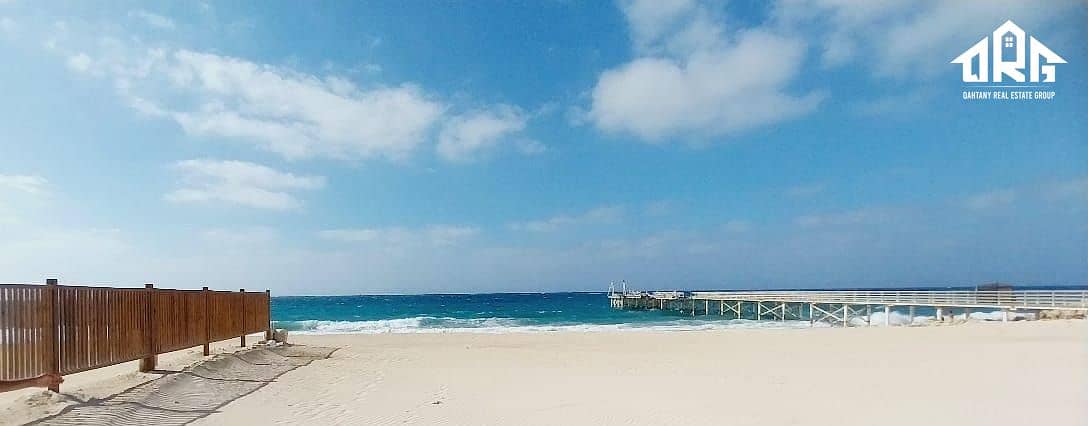 9 cf81d3ad-28e0-4693-b988-759bcb3ba848. jpeg