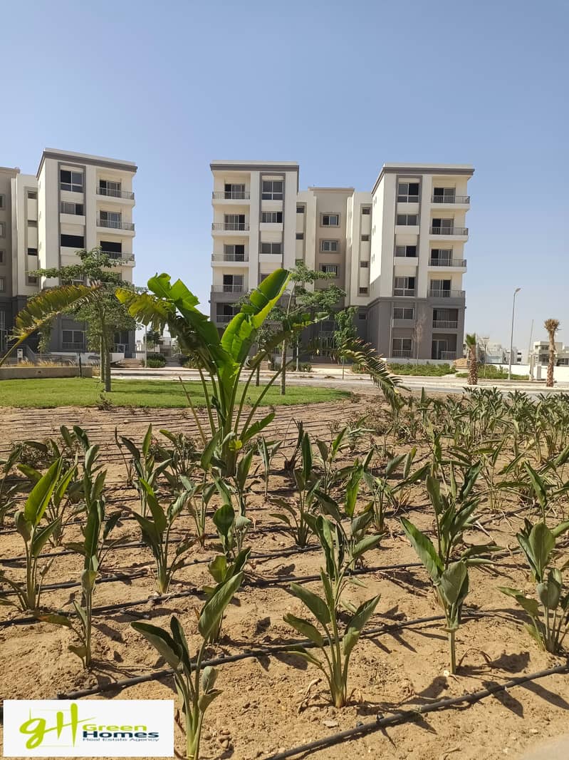 2 IMG_20230821_152352. jpg