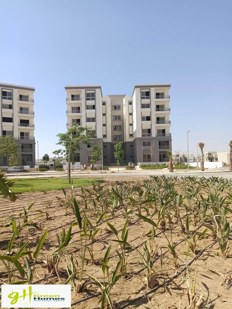 3 IMG_20230821_152355. jpg