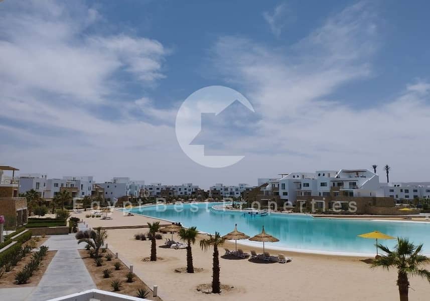 13 El Gouna - SwanLake. jpg