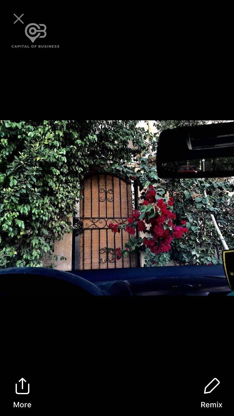 2 2e6fc9a9-9ee5-4228-a0c7-f885b4e379eb. jpg