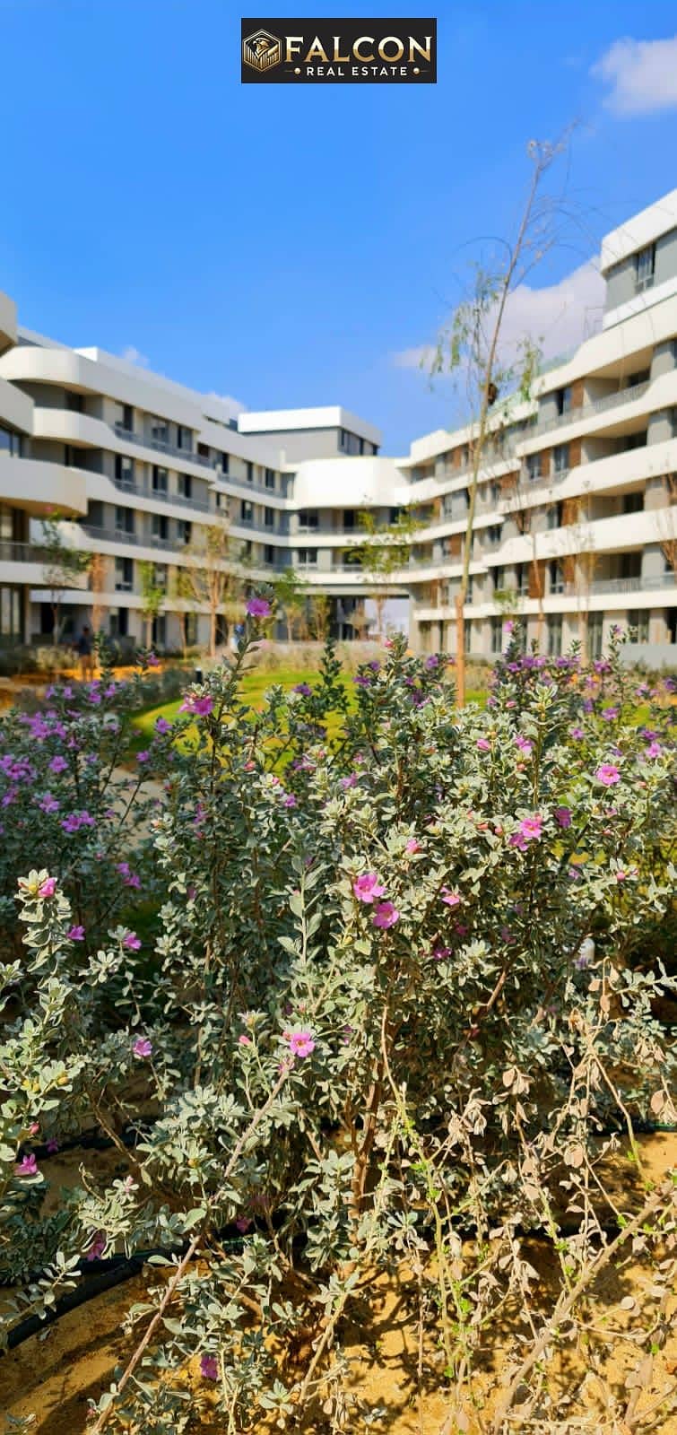 9 396313003_3629007670759859_4787911095843400500_n. jpg