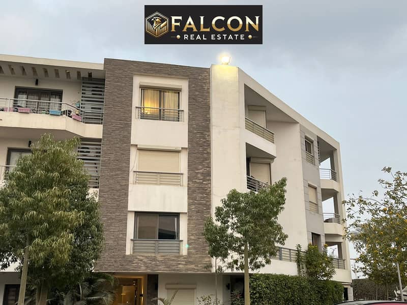 4 WhatsApp Image 2024-12-08 at 17.47. 30_d739c289. jpg