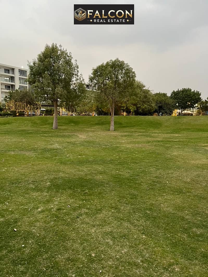 13 WhatsApp Image 2024-12-08 at 17.47. 26_a6ffb2b6. jpg