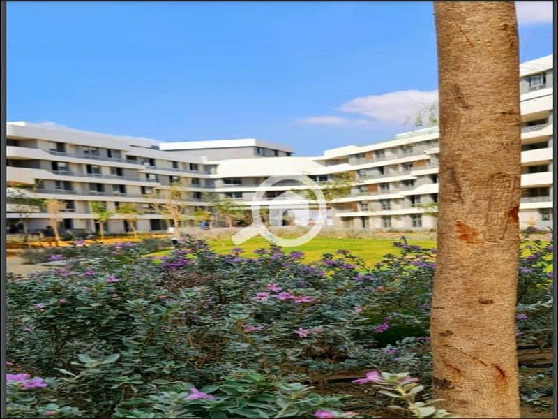 3 WhatsApp Image 2025-10-19 at 15.30. 11. jpeg