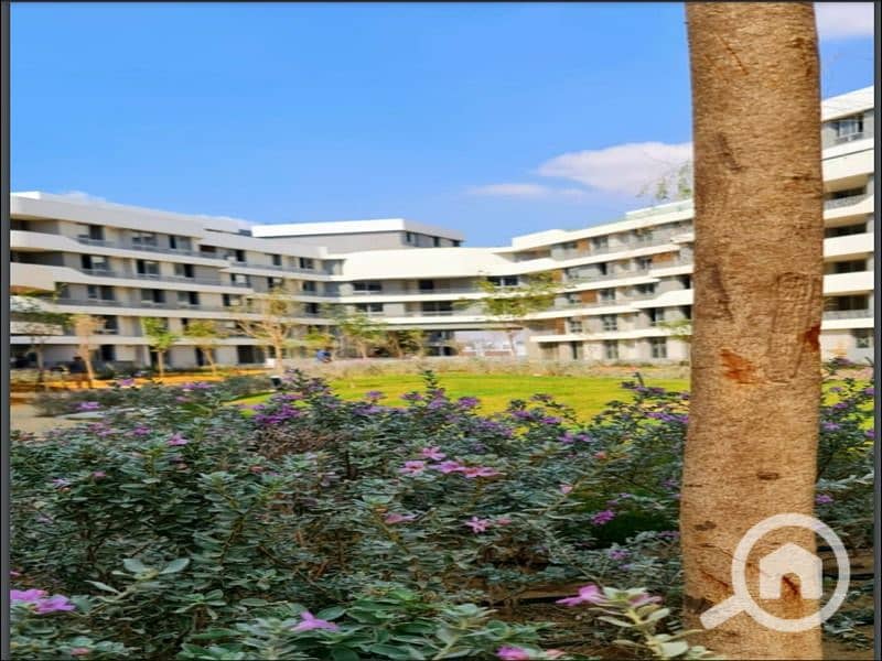 2 WhatsApp Image 2025-10-19 at 15.30. 11. jpeg