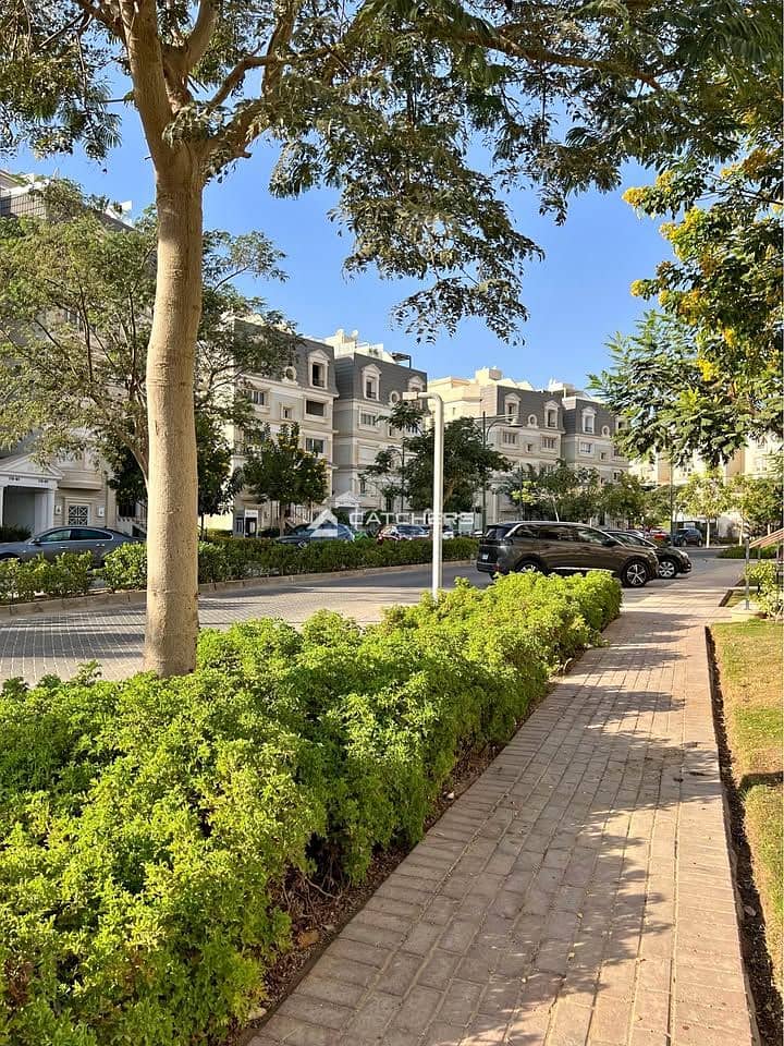 583639049_813491131560950_8435560953225158748_n. jpg