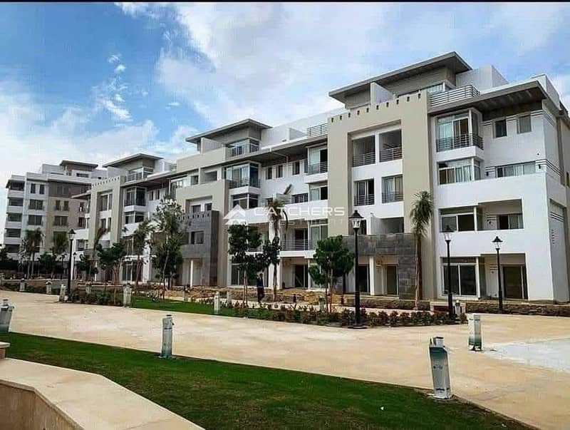 581111119_852713230949127_3222809786074863799_n. jpg