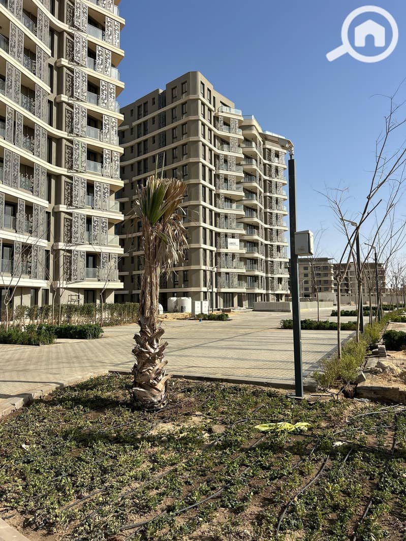 5 WhatsApp Image 2025-05-20 at 11.39. 47 AM. jpeg