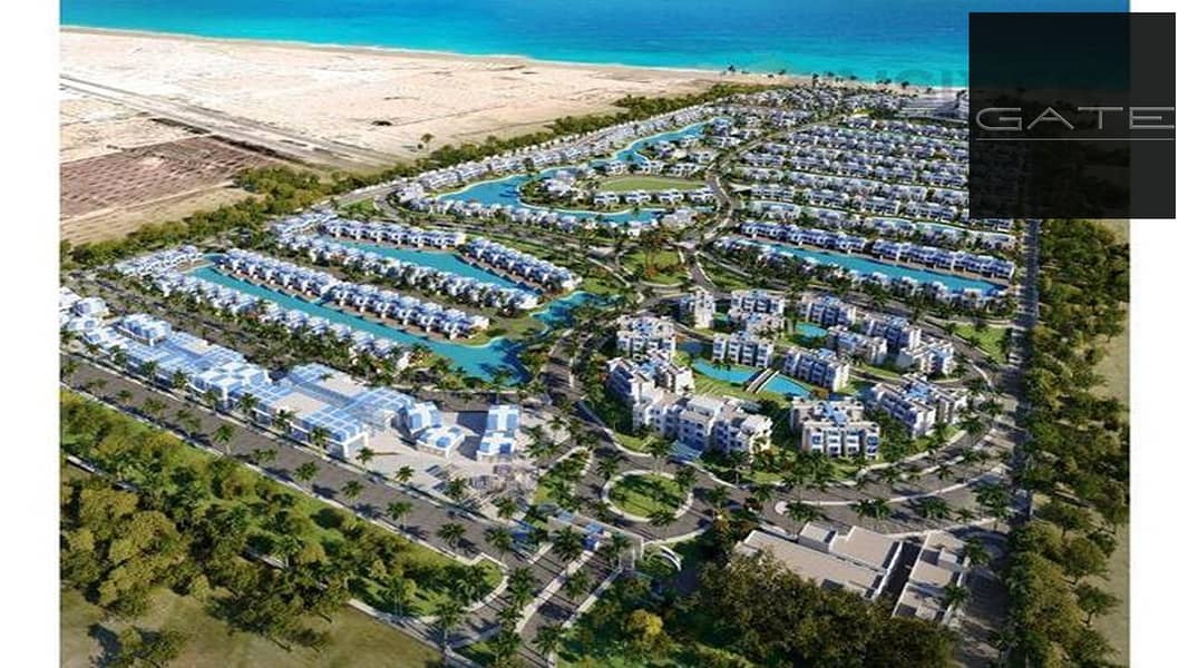 3 5098139-3da33o. jpg