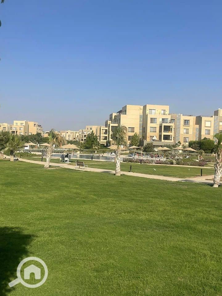 11 556825485_816259167458513_2164127550520129233_n. jpg