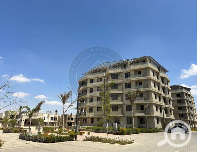 2 photo_2_2025-02-10_11-46-39. jpg