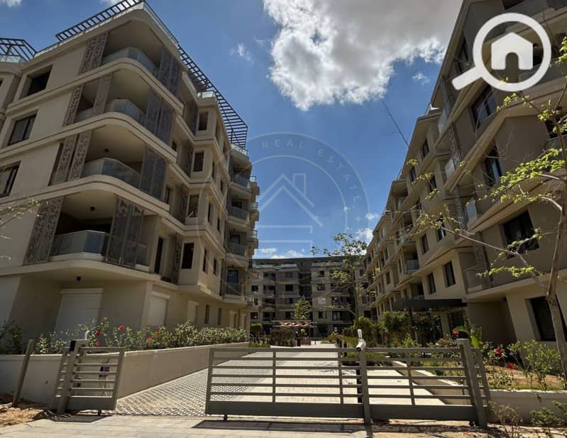 4 photo_5_2025-02-10_11-46-39. jpg