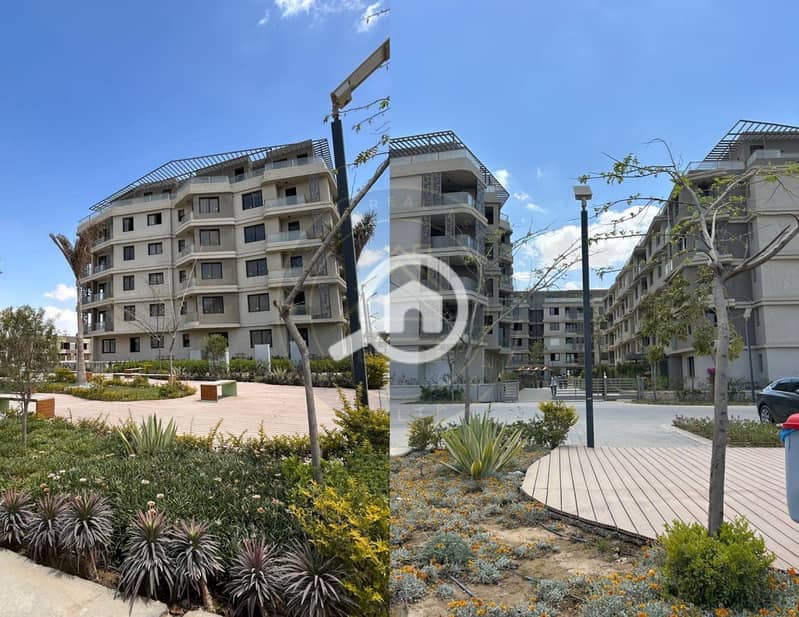 6 photo_7_2025-02-10_11-46-39. jpg