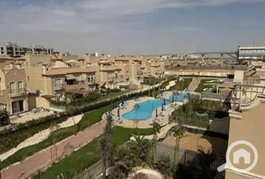 2 8232912-dd2ffo. jpg