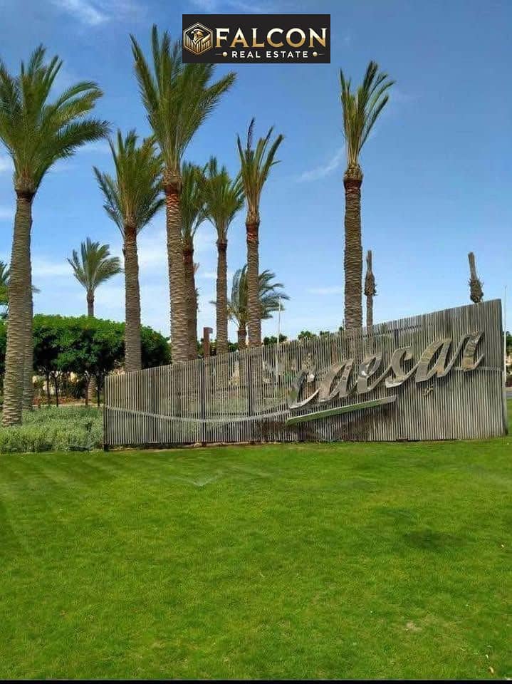 9 517956714_9954161314709292_1116266202201005358_n. jpg