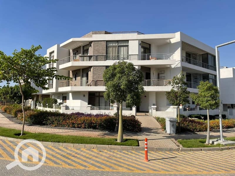 2 413929722_1400087494212911_455401287671247318_n. jpg