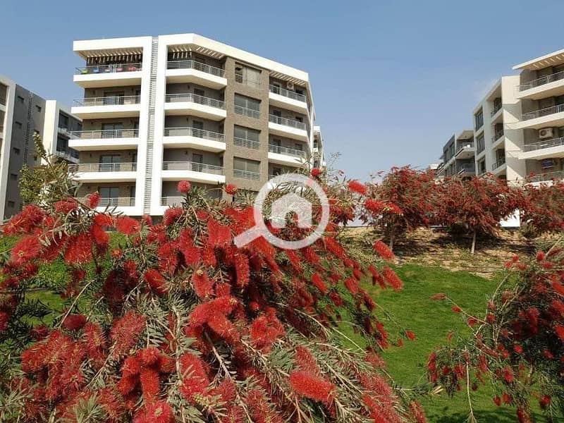 8 409232804_24797227449875958_8056199220694159028_n. jpg