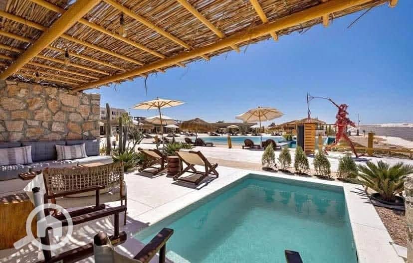 3 WhatsApp Image 2025-08-24 at 4.35. 33 PM. jpeg