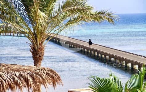2 Bedroom Chalet for Sale in Soma Bay, Red Sea - WhatsApp Image 2025-09-01 at 11.48. 17 AM (1). jpeg