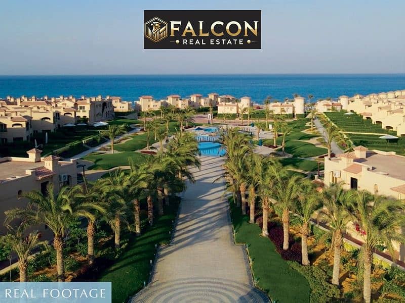 13 bced87f4-bc86-4c73-9858-b36d8852274d. jpg